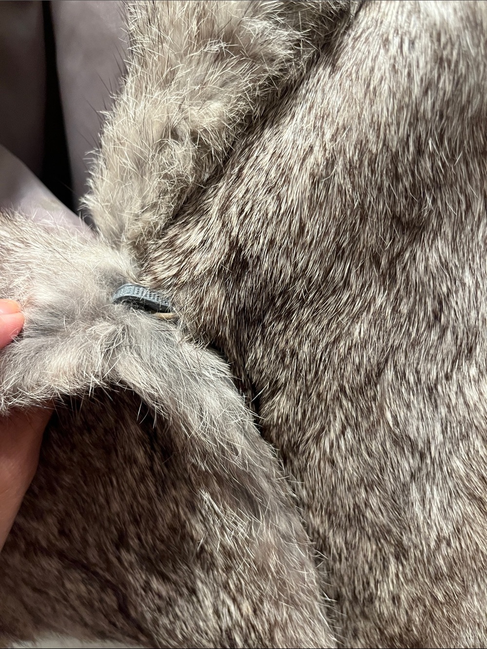Cropped Gray Rabbit Fur Coat - Picture 3 of 10